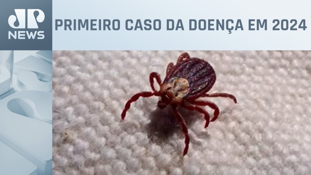 Campinas entra em alerta após morte de jovem por febre maculosa