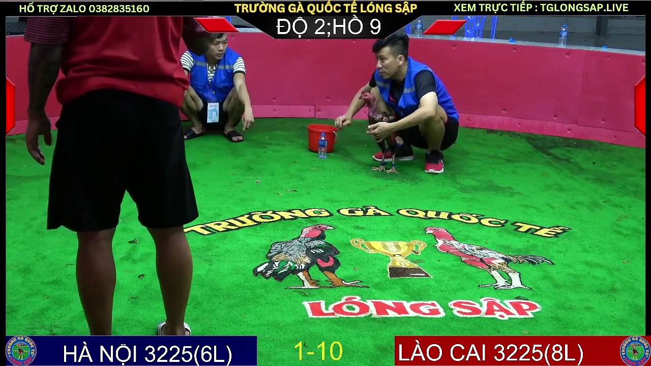 Live Đá Gà C1 Trận Hà Nội-Lào Cai và Quảng Trị-Daklak