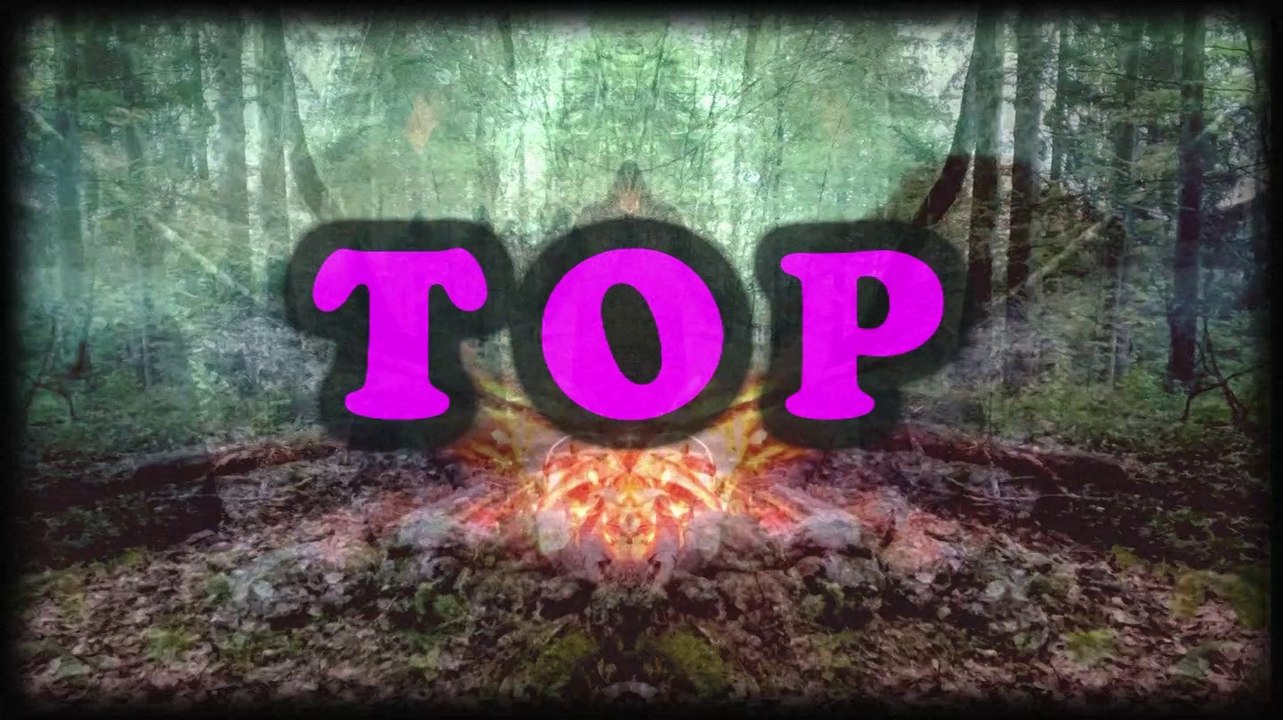 COCHON RODEO - TOP - TEMPLE OF PIGS