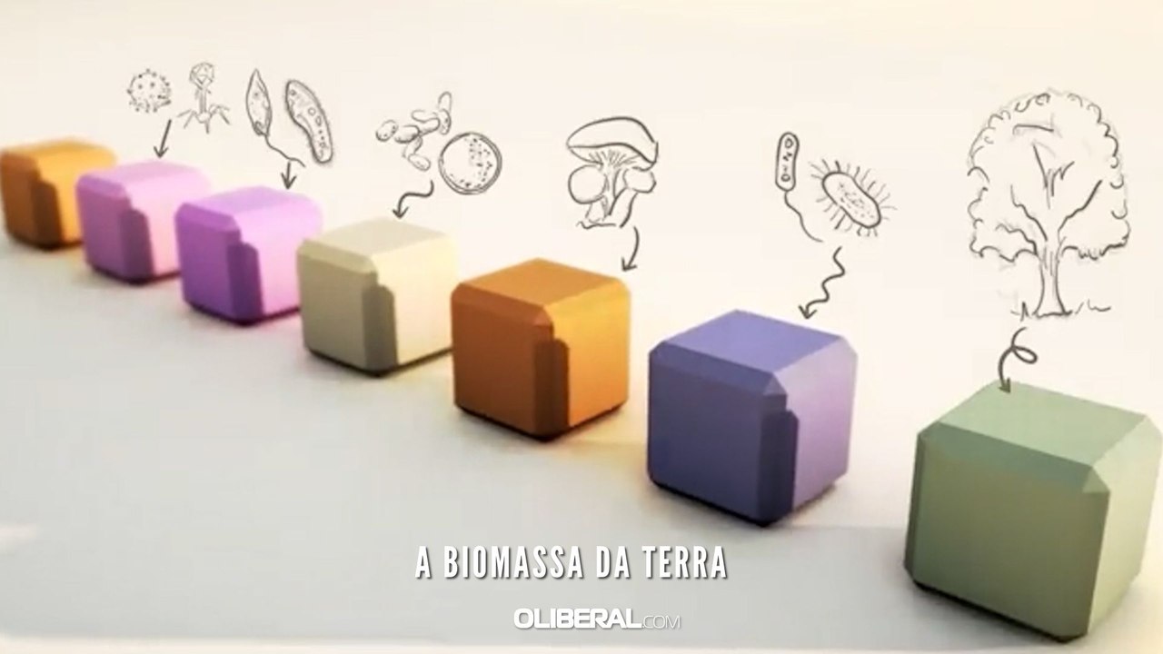 A biomassa da Terra