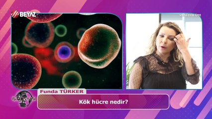 Ivana Sert ile İş Dünyası 1 Haziran 2024