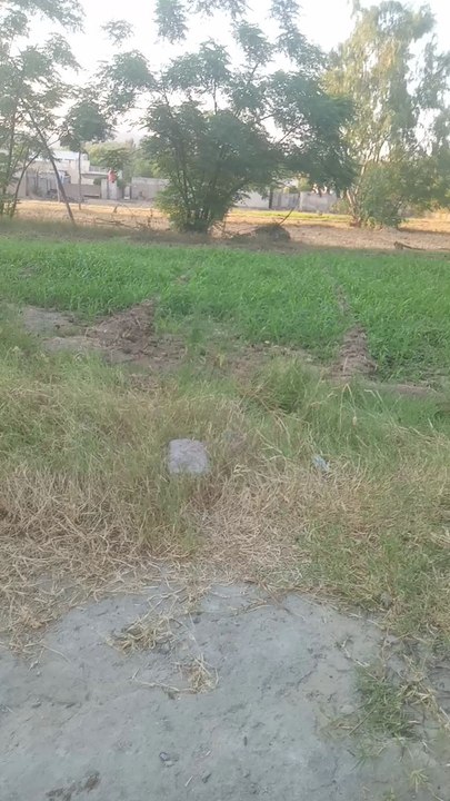 Attock #vilagvilog