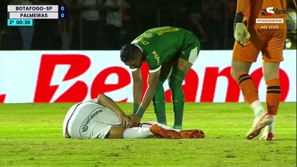 【JOGO COMPLETO】 Botafogo-SP x Palmeiras | Copa do Brasil 2024 - Terceira Fase; 2° Tempo