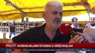 Kurbanlıkların İstanbul'a girişi başladı