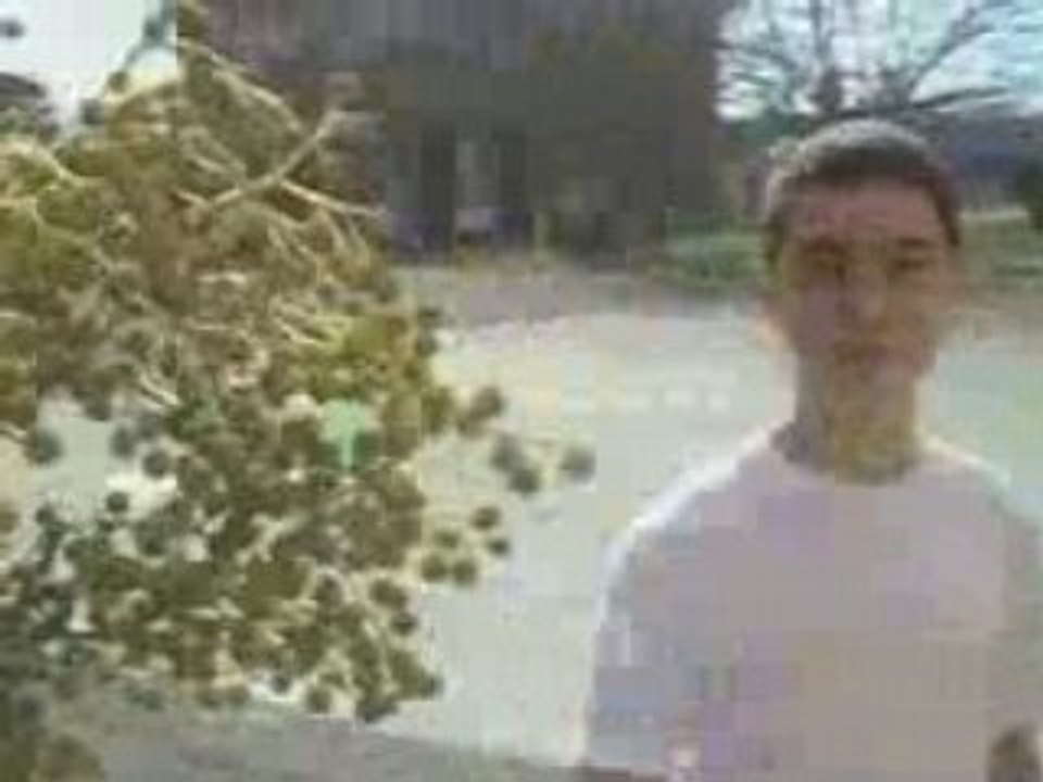 La machine à laver écolo