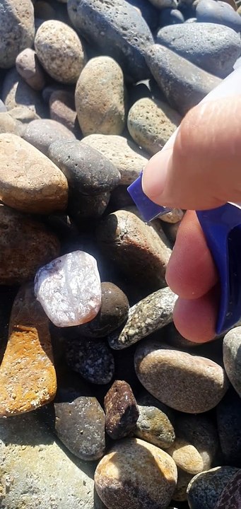 Agate 51