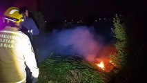 Bombeiros combatem incêndio em vegetação às margens da rodovia BR-277