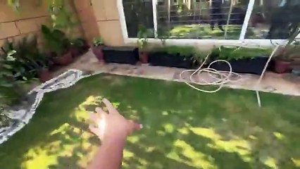 Aroob Ka Shippu Wapis Aageya -- _ Qurbani Ke Liye Mandi Se Sheep Le Aye ❤️--(360P)