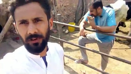 My First Vlog_ please support me Multani vlog chanel