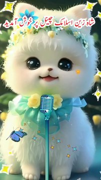 Hasbi Rabbi Jallallah l cute cat l billi naat I Ringtone 2024 #viral #trending #islamicstatus