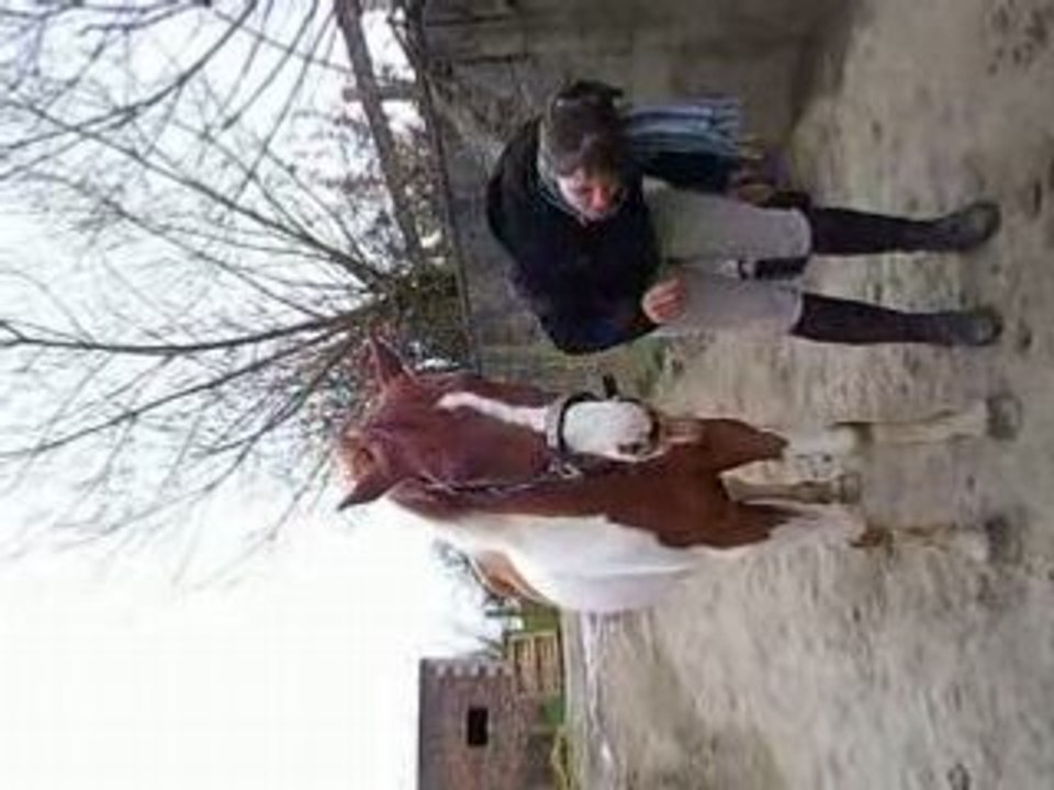 Magnum et moi