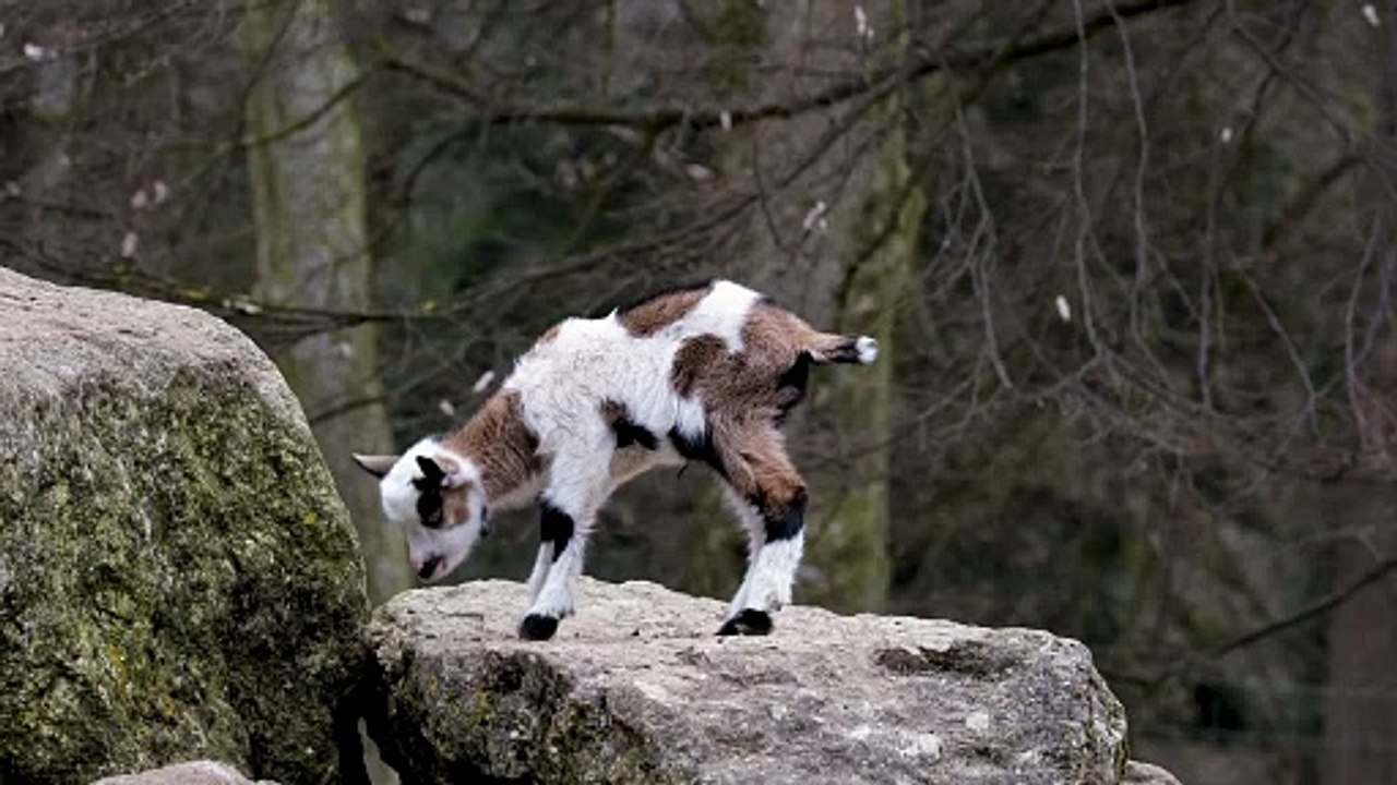 tiny