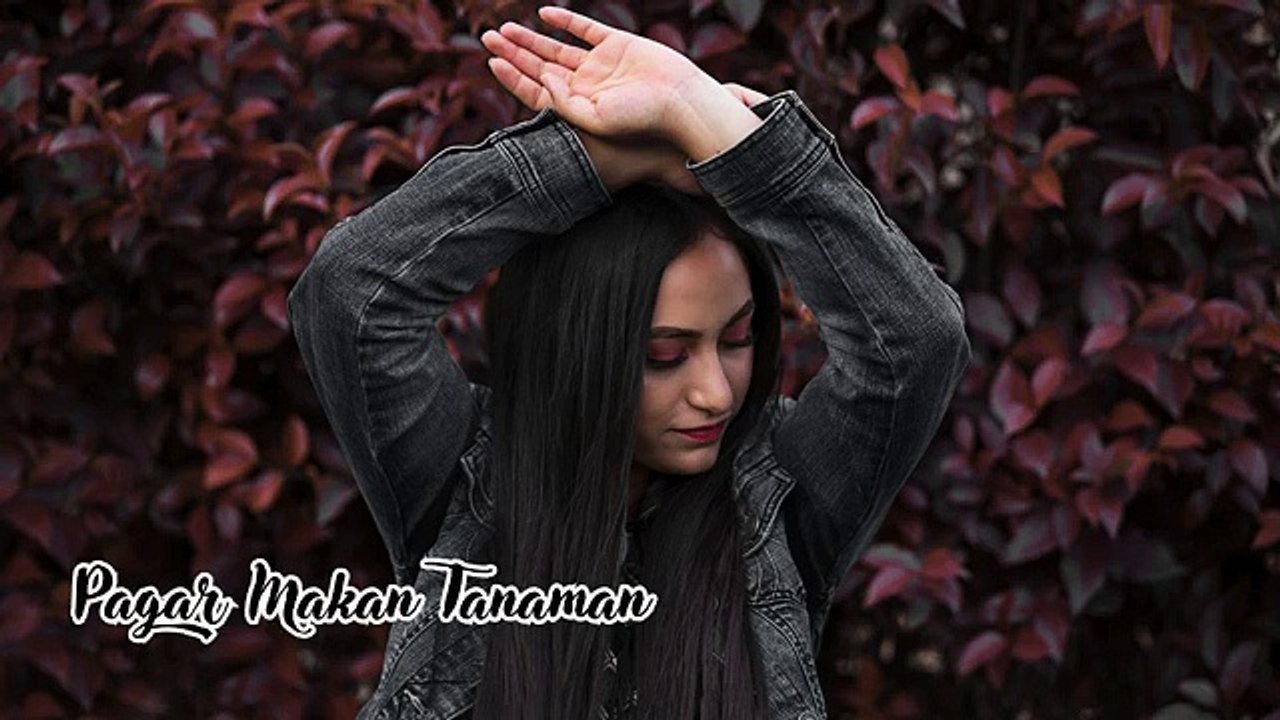 Pagar Makan Tanaman - RmxDj,FBass