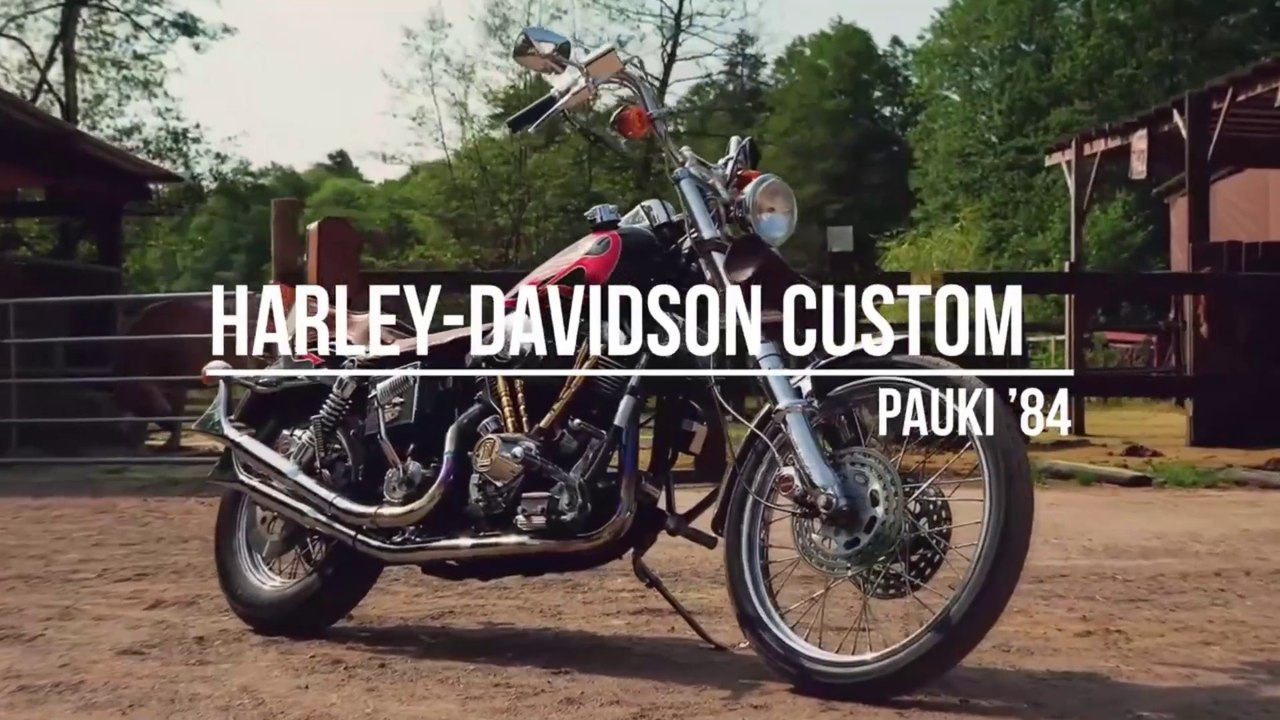 Harley-Davidson SHOVELHEAD Custom: PAUKI ’84 * A&T Design