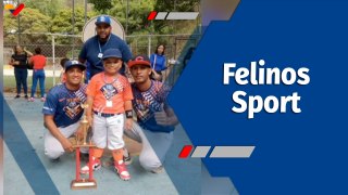 Deportes VTV | Escuela de beisbol menor 