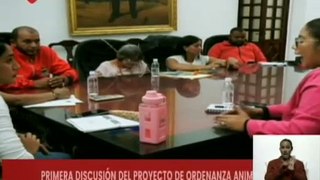 Caracas | Concejo Municipal arranca el debate para la ordenanza animalista