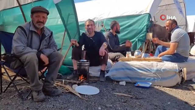 İstanbul'da kurbanlıklar pazara indi