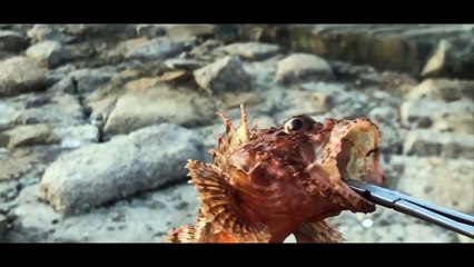 Héros de la Méditerranée française-l'expédition Thalas (2023) - Bande annonce