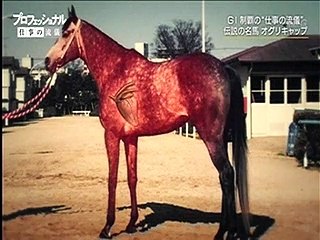 仕事の流儀　オグリキャップ