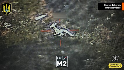 ビデオ：ウクライナのFPVドローンがロシアの偵察ドローンを2機撃墜