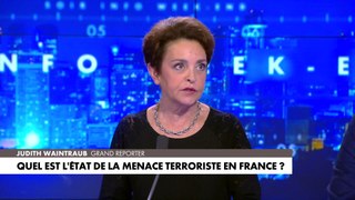 Judith Waintraub : «Les Frères Musulmans surfent sur l'idée que la société française est islamophobe»