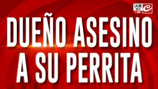 Mató a su perra  atándola a las vías del tren