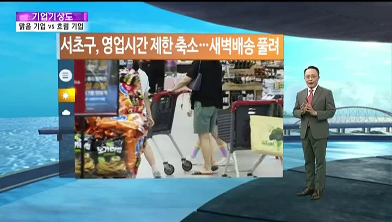 [기업기상도] 제철 만나 맑은 기업 vs 역풍 맞아 흐린 기업