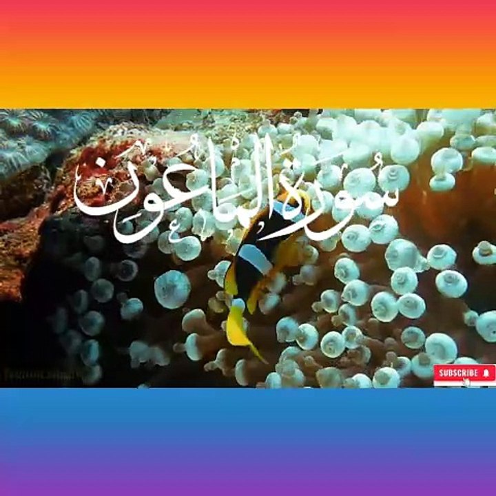 "Islamic Teachings"#Islam#Quran#Surah#taqareer#fly