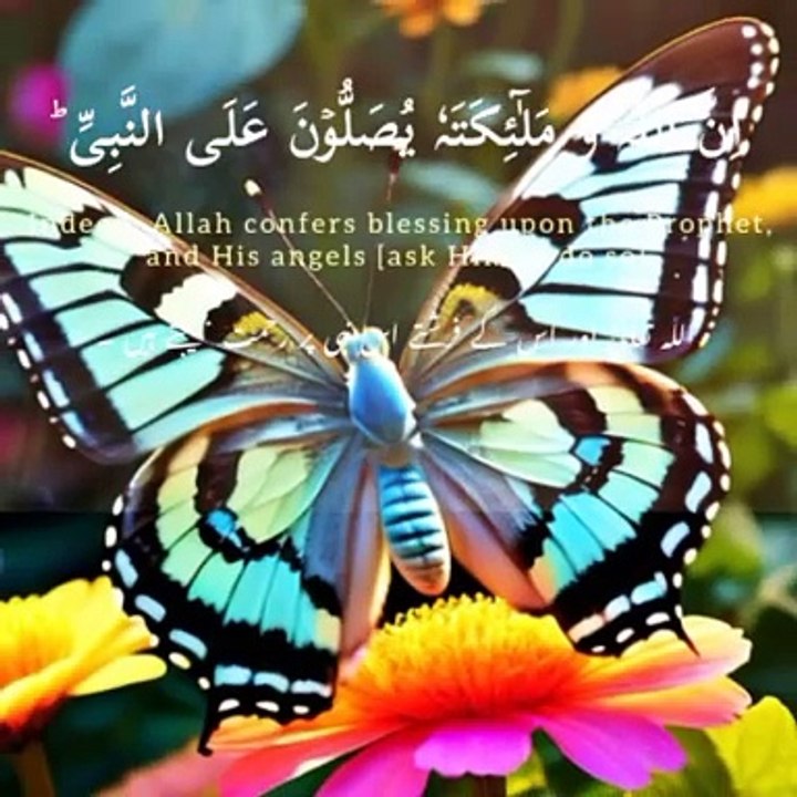 درود بھیجو