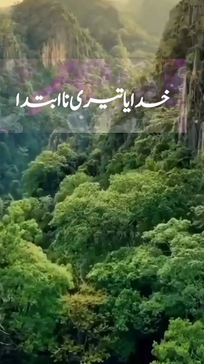 تجہی کو پایا