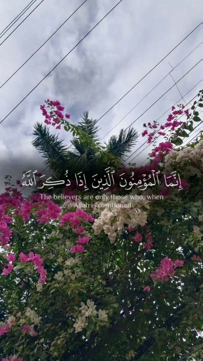 Tilwat e Quran # Islamic shorts