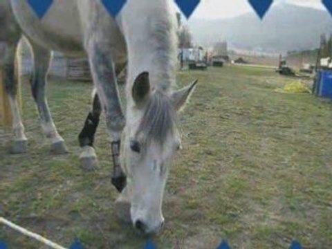 POUR MON DADOU D'AMOUR