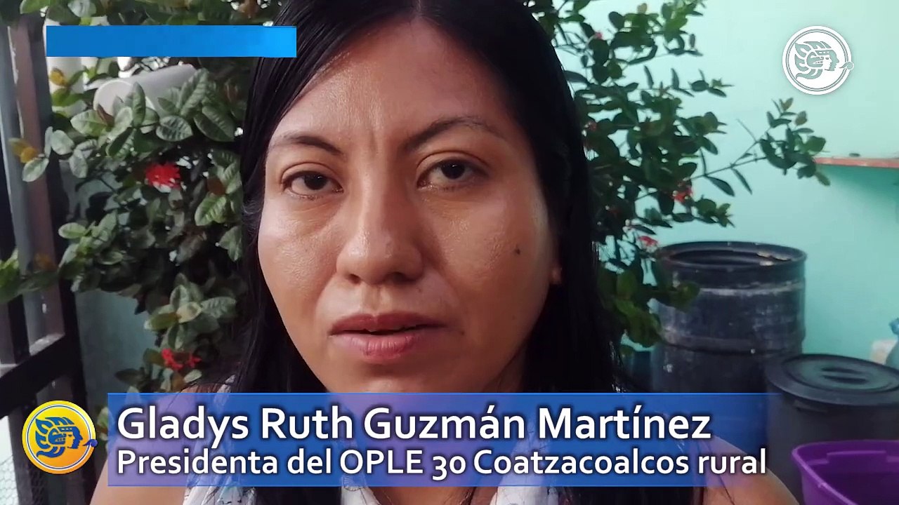 Se pronuncia presidenta del OPLE 30 tras extravío de boleta en ejido el Remolino