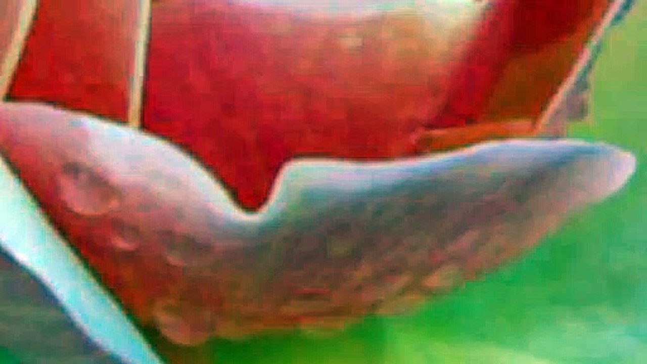 lv_0_20240601172028