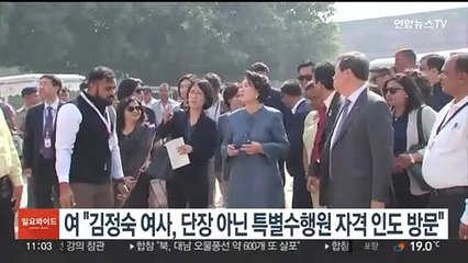 여 "김정숙 여사, 단장 아닌 특별수행원 자격으로 인도 방문"
