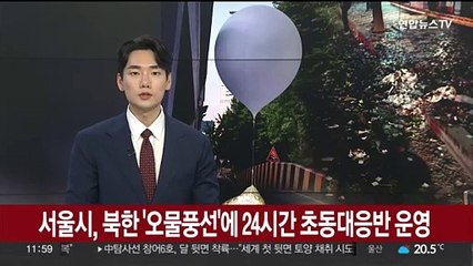 서울시, 북한 '오물풍선'에 24시간 초동대응반 운영