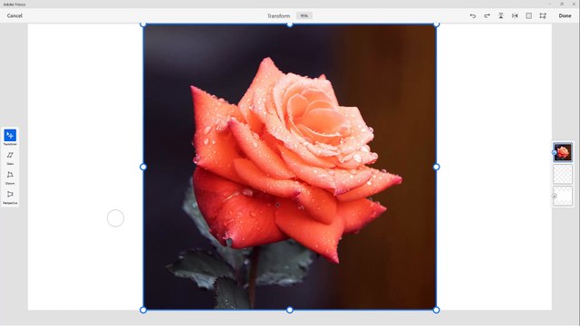 Adobe Fresco Course Section 26 Importing Image from Files