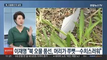 [일요와이드] 북한, 또 오물풍선 살포…