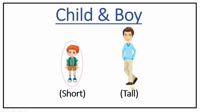 Tall and Short Objects | Short and Tall Objects | Tall & Short | Short & Tall | Class 1 Math
