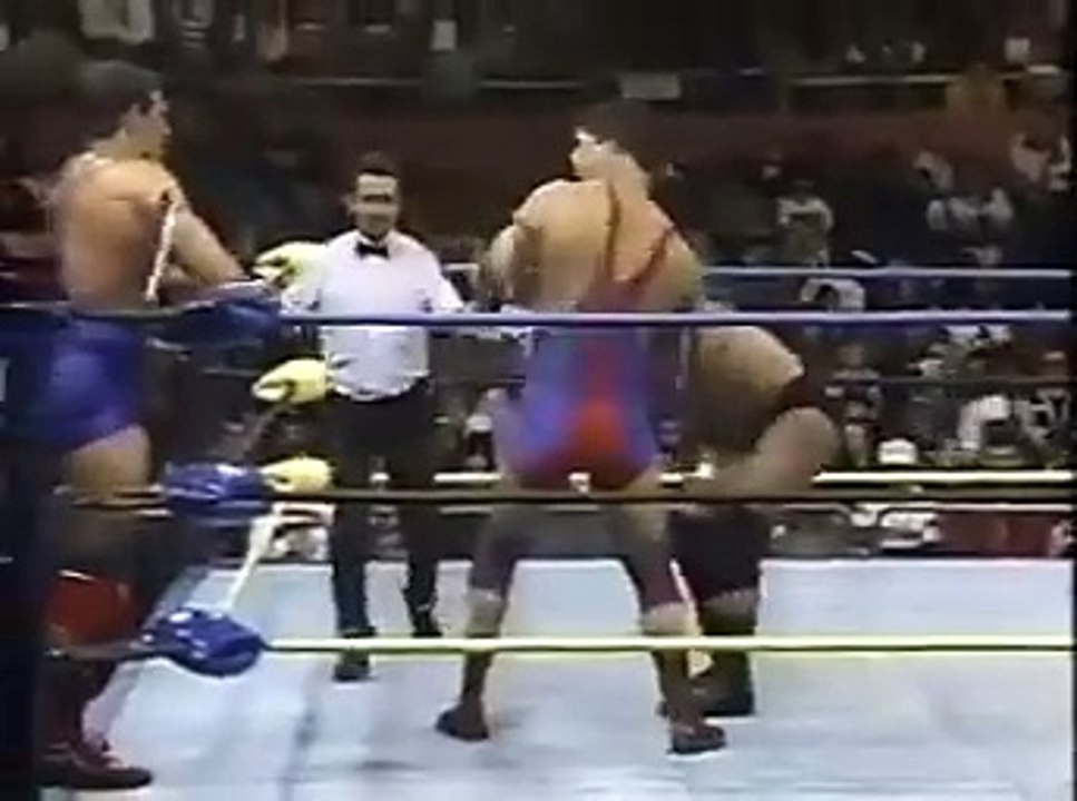 Pretty Wonderful (Paul Orndorff Paul Roma) vs. Thunder and Lightning - 1/18/1994 - WCW