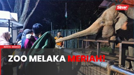 Melaka 'Bila Larut Malam' tarik lebih 4,000 pengunjung