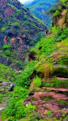 Beautiful and natural video Islamic video's for the world to separate Islam please  grow up Islamic TV show