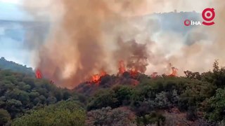 Manisa'daki yangın büyüyor: Ekip sayısı artırıldı, tren seferleri durduruldu