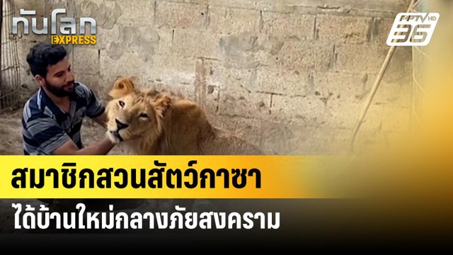 สมาชิกสวนสัตว์กาซาได้บ้านใหม่กลางภัยสงคราม| ทันโลก EXPRESS |   2 มิ.ย. 67