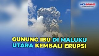 Gunung Ibu di Maluku Utara Kembali Erupsi, Semburkan Abu Vulkanik Setinggi 7.000 Meter
