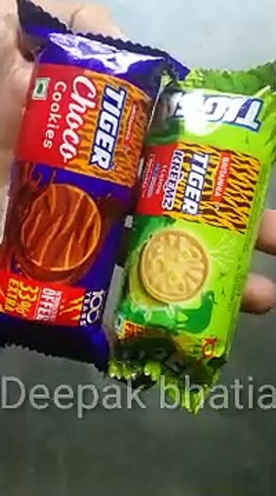 Britannia tiger cookies (elaichi and chocho)