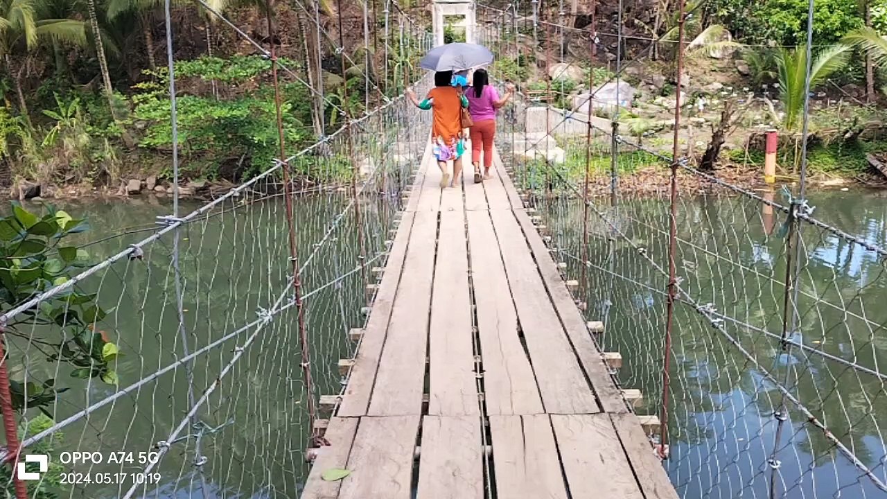 hanging bridge