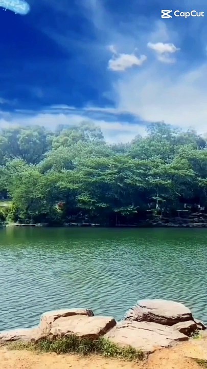 Beautiful Cloudy Weather  With My. Trees