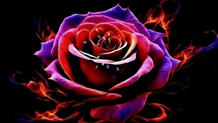 VALDO CILLI TITRE SEI D'AVVERO LA PIU BELLA