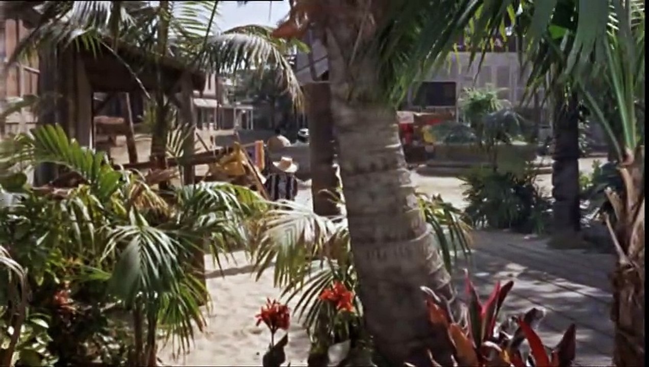 Donovan`s reef die hafenkneipe von tahiti - ganzer film - 1963